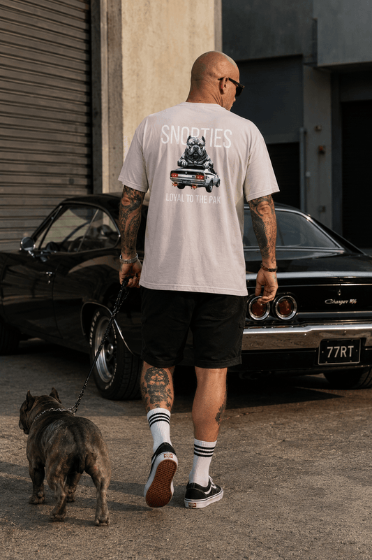 Snorties Pocket Bully Valiant Charger toy with detailed design and vibrant colors, perfect for collectors and enthusiasts.